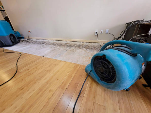Professional Sewage Cleanup technician working in Blanchard, MI